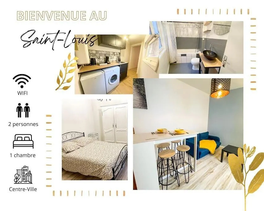 Apartment Le Saint Louis - Appt Wifi Centre Ville Le Puy-en-Velay