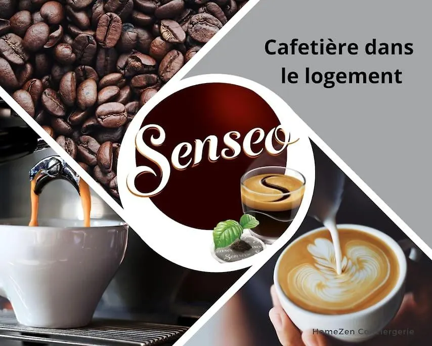 Le Saint Louis - Appt Wifi Centre Ville Le Puy-en-Velay France