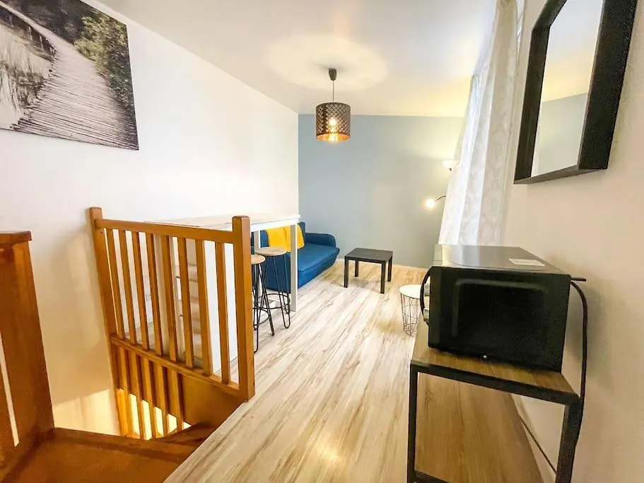 Le Saint Louis - Appt Wifi Centre Ville Le Puy-en-Velay France